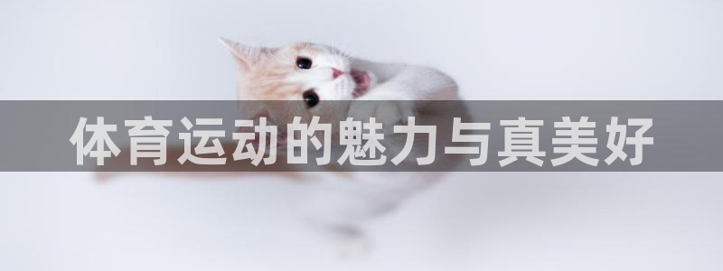 bbin视讯：体育运动的魅力与真美好