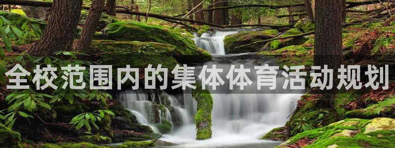 bbin视讯：全校范围内的集体体育活动规划