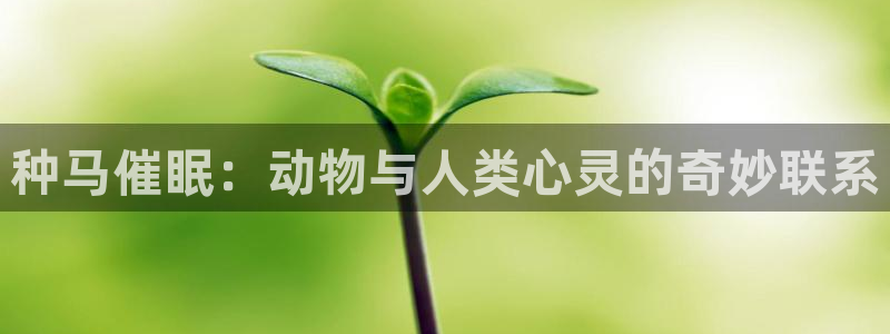 bbin视讯