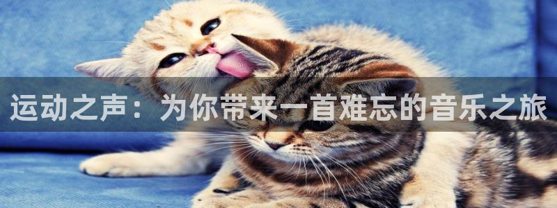 bbin视讯游戏官网
