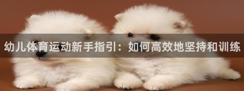 bbin视讯下