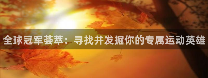 bbin视讯下