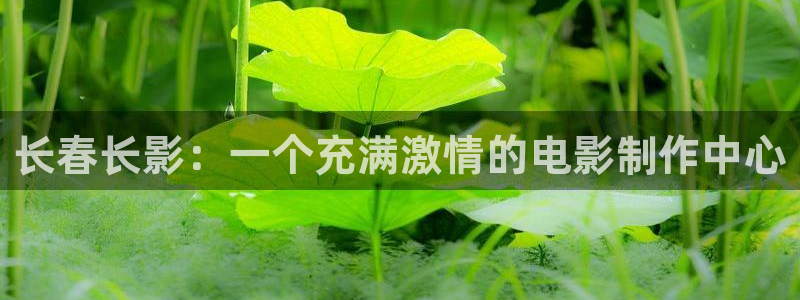 bbin视讯下：长春长影：一个充满激情的电影制作中心