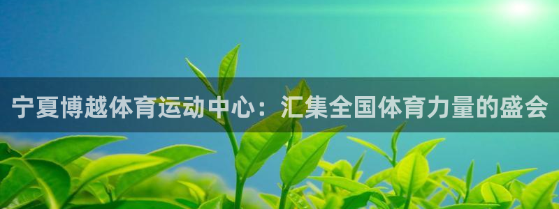 bbin视讯游戏官网