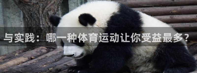 bbin视讯